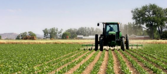 Morocco among the top five most fretile African lands./Ph. DR