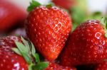 Espagne : Les agriculteurs pointent une présence d'hépatite A dans les fraises du Maroc
