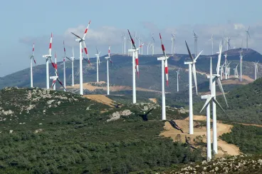 Morocco and Algeria rivalry expands into energy and trade spheres, says U.S. think tank