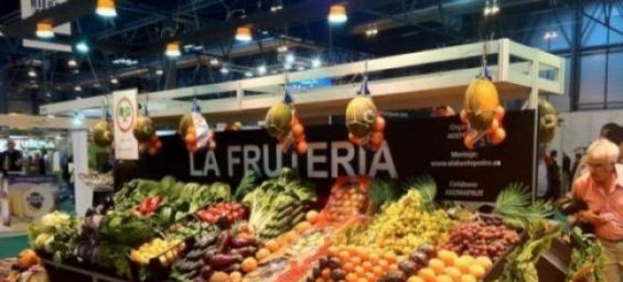 FEPEX warns against Moroccan exports to Spain./Ph. DR