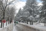 Maroc : Chutes de neige lundi et mardi dans plusieurs provinces