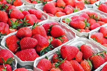 Europe: Soft fruit shortage driven by supply issues in Morocco