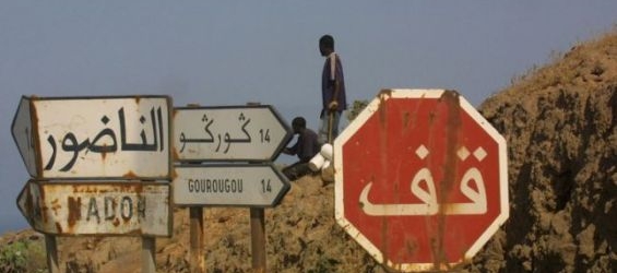 Mount Gourougou is known for hosting a large number of sub-Saharan for illegal immigration candidates. / DR