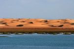 Nomad #56 : Le parc national de Khnifiss, une oasis en plein Sahara
