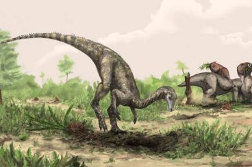 Les premiers dinosaures auraient évolué dans le Sahara et dans l’Amazonie