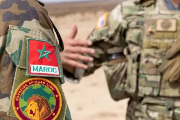African Lion: From expansion to rare disruptions