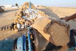 Face à la sécheresse, le Maroc compte augmenter de 35% ses importations de blé