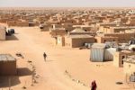 Mohamed Val : «L'Algérie à l'origine de l'offre du Polisario de réparer les victimes de violations»