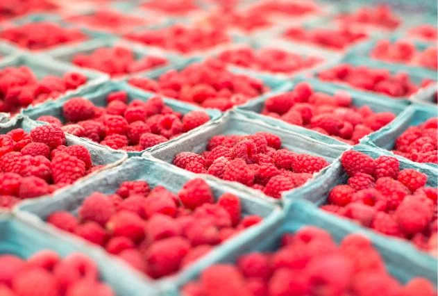 Morocco sets raspberry export record at 64,400 tons, with UK as top ...