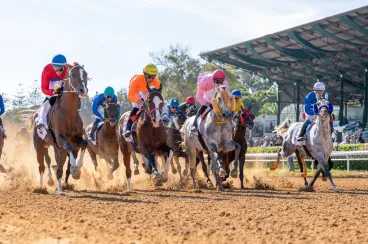 High energy and international wins mark Morocco’s 11th International Racing Meeting