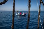 Maroc : Quatre pêcheurs portés disparus en Méditerranée après la naufrage de leur bateau
