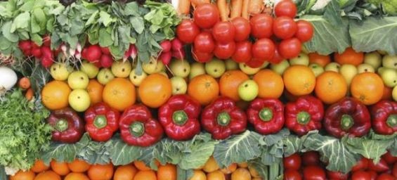 Morocco's vegetable exports to the EU increased in the first semester of 2017./Ph. DR