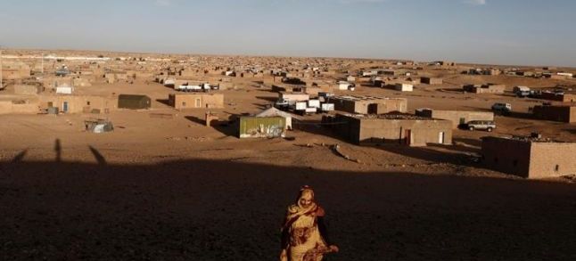 The Tindouf camps. / Ph. DR