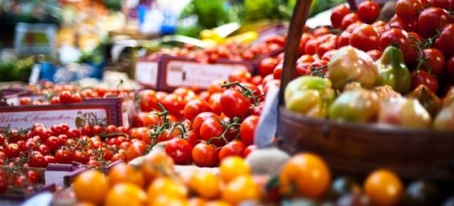 While Moroccan tomato is accused of « invading » the EU market, the Sahara fishery products are most welcome./Ph. DR