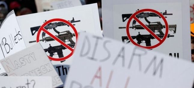 A photo from the 'March for Our Lives' rally in the USA to demand for tighter gun laws./Ph. DR
