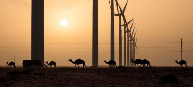 Green energies can make the Sahara greener, according to a new study./Ph. DR