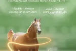 El Jadida : Le 16e Salon du cheval accueille le Title Show des chevaux pur-sang arabes