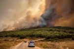 Feux de forêts : Deux morts dans des incendies déclarés au niveau de trois forêts à Larache
