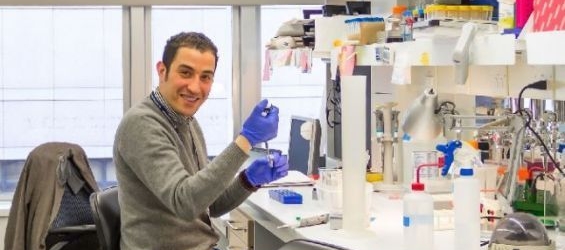 Abdelfattah El Ouaamari, a PhD in Molecular and Cellular Biology based in the United States. / DR