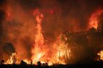 Maroc : 10 300 hectares ont été ravagés par les feux de forêt
