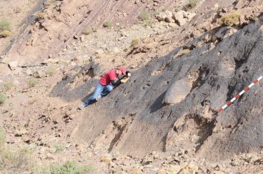المغرب: اكتشاف آثار ديناصورات عاشت بجبال الأطلس خلال العصر الجوراسي