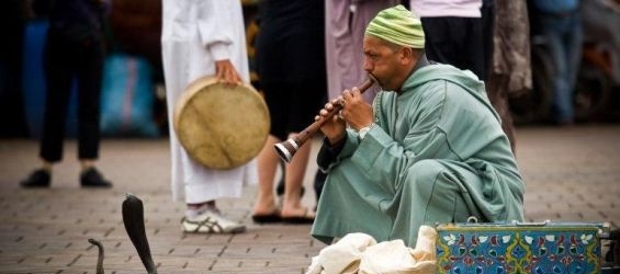 A snake charmer dies after being bitten