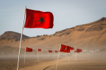 France : Un collectif d'universitaires demande une conférence internationale sur le Sahara