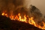 Maroc : Un incendie de forêt circonscrit à Fnideq