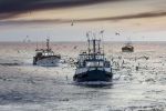 Accord de pêche Maroc-UE : Bruxelles à la recherche d'une alternative contre le verdict de la CJUE