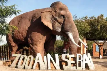 Casablanca : Le parc zoologique d’Aïn Sebaâ rouvre ses portes