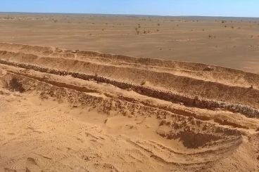 الصحراء في وثائق المخابرات الأمريكية #8: الجدار الرملي 