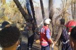 Maroc : A Tata, une grande partie de l'oasis d'Addis réduite en cendres [vidéo]