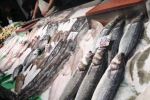 Le Maroc a-t-il autorisé à nouveau l'entrée de poissons à Ceuta ?