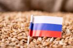 «La Russie est prête à fournir du blé au Maroc à un prix raisonnable» (ambassadeur russe)