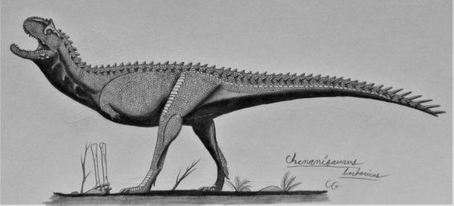 Chenanisaurus Barbaricus dinosaur./ Ph. AcroSauro Taurus