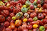 Les exportations marocaines de fruits et légumes vers l'UE augmentent de 9% en 2020