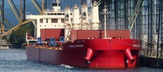 The Polisario threatens to besiege a phosphate cargo in New Zealand