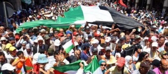 Two associations to organize a march on Sunday denouncing the Donald Trump’s recent decision./Ph. DR