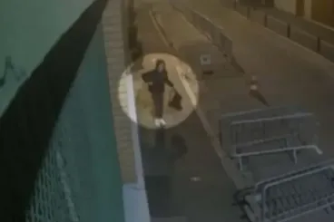Serbie : 11 arrestations liées aux têtes de cochons posées devant des mosquées en France