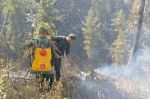 Maroc : Les efforts se poursuivent pour maîtriser des feux de forêts à Larache et Taounate