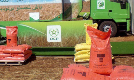 Fertilizer diplomacy in action : Morocco, Algeria showcase expertise at African summit