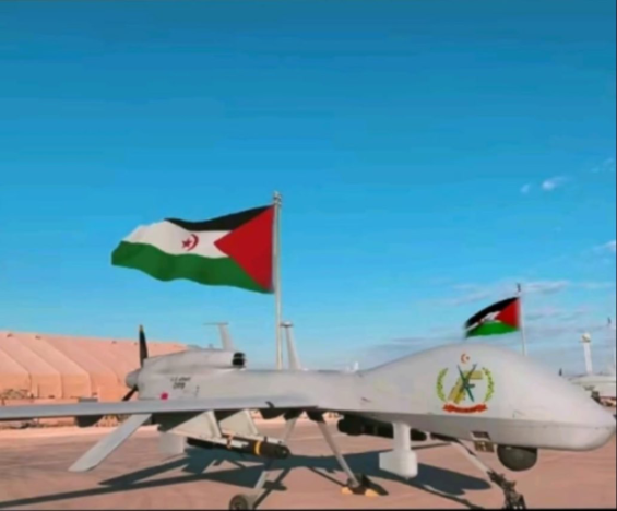 Did Iran offer drones to the Polisario ?