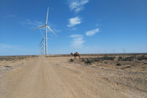 Foreign green energy projects in Sahara anger Polisario