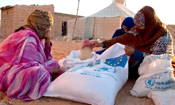 Spanish opposition demands aid for Sahrawi refugees
