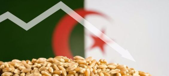 Algeria clarifies stance on French wheat boycott