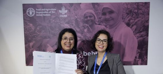 Najat Mokhtar and Ismahane El Ouafi in Baku during COP29 / DR