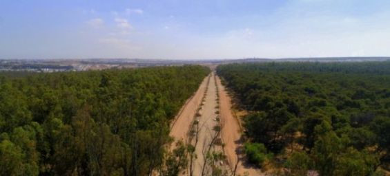 Casablanca launches urgent plan to save Bouskoura forest