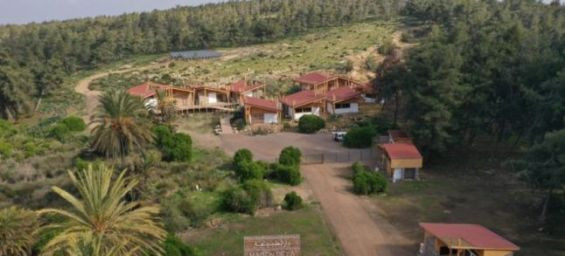 Casablanca launches urgent plan to save Bouskoura forest