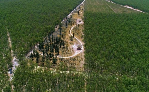 Casablanca launches urgent plan to save Bouskoura forest