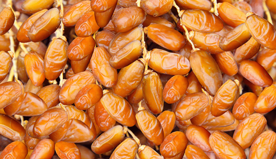 Morocco accounts for 20% of Tunisian date exports